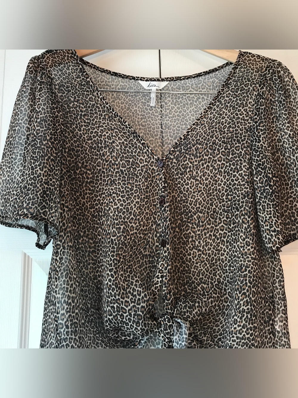 PacSun Women's semi-sheer Leopard Print Tie-Front Blouse - Brown